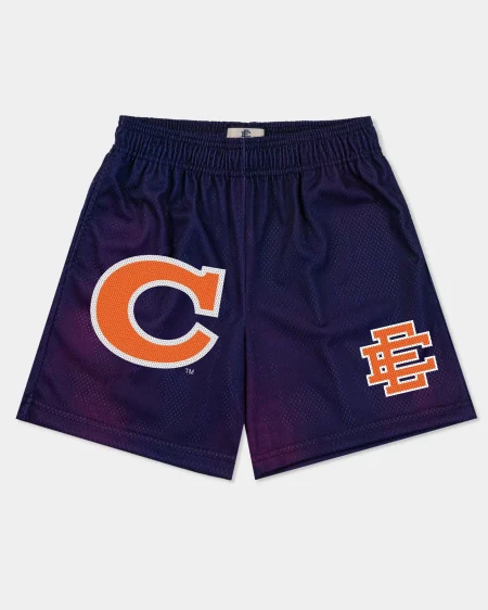 Eric Emanuel EE® Basic Shorts Purple